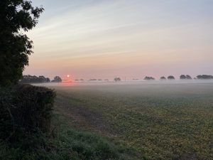 Sunrise over the fields